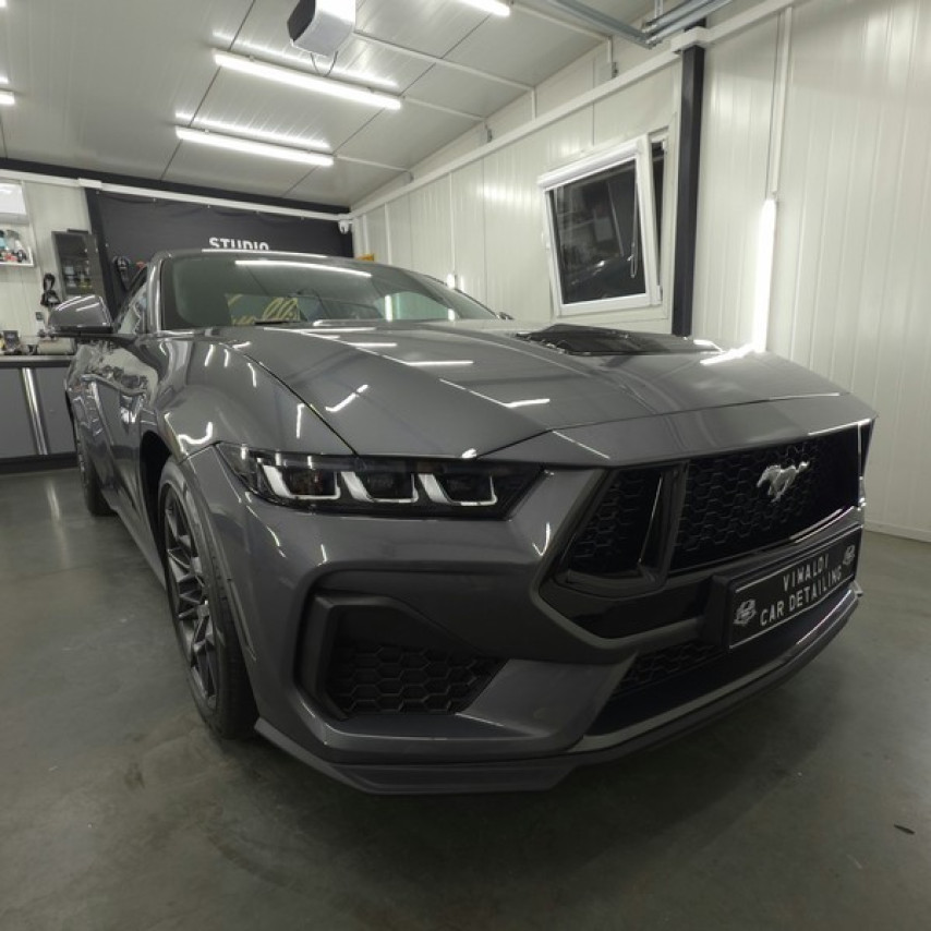mustang-10